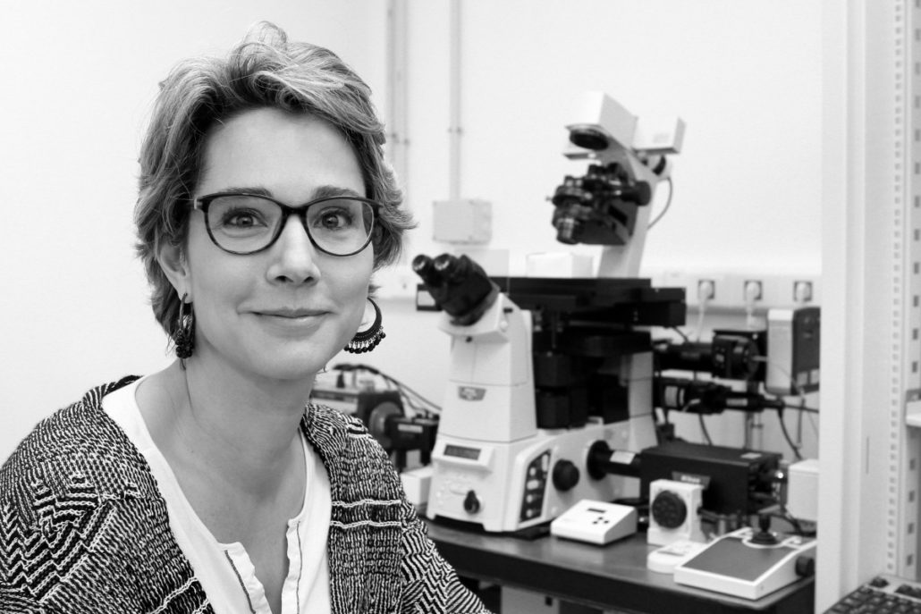 Teresa Giraldez, PhD